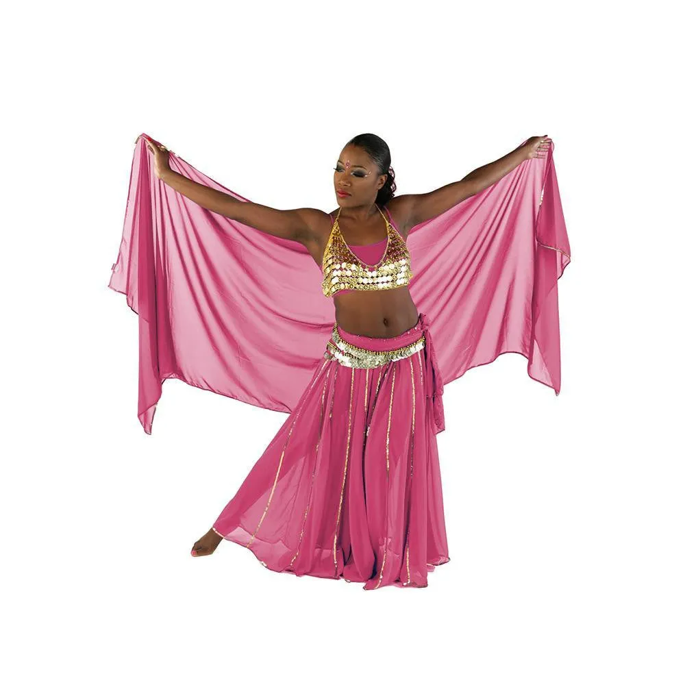 Belly Dance Skirt, Bra, Veil & Hip Scarf Costume Set | STARGAZER