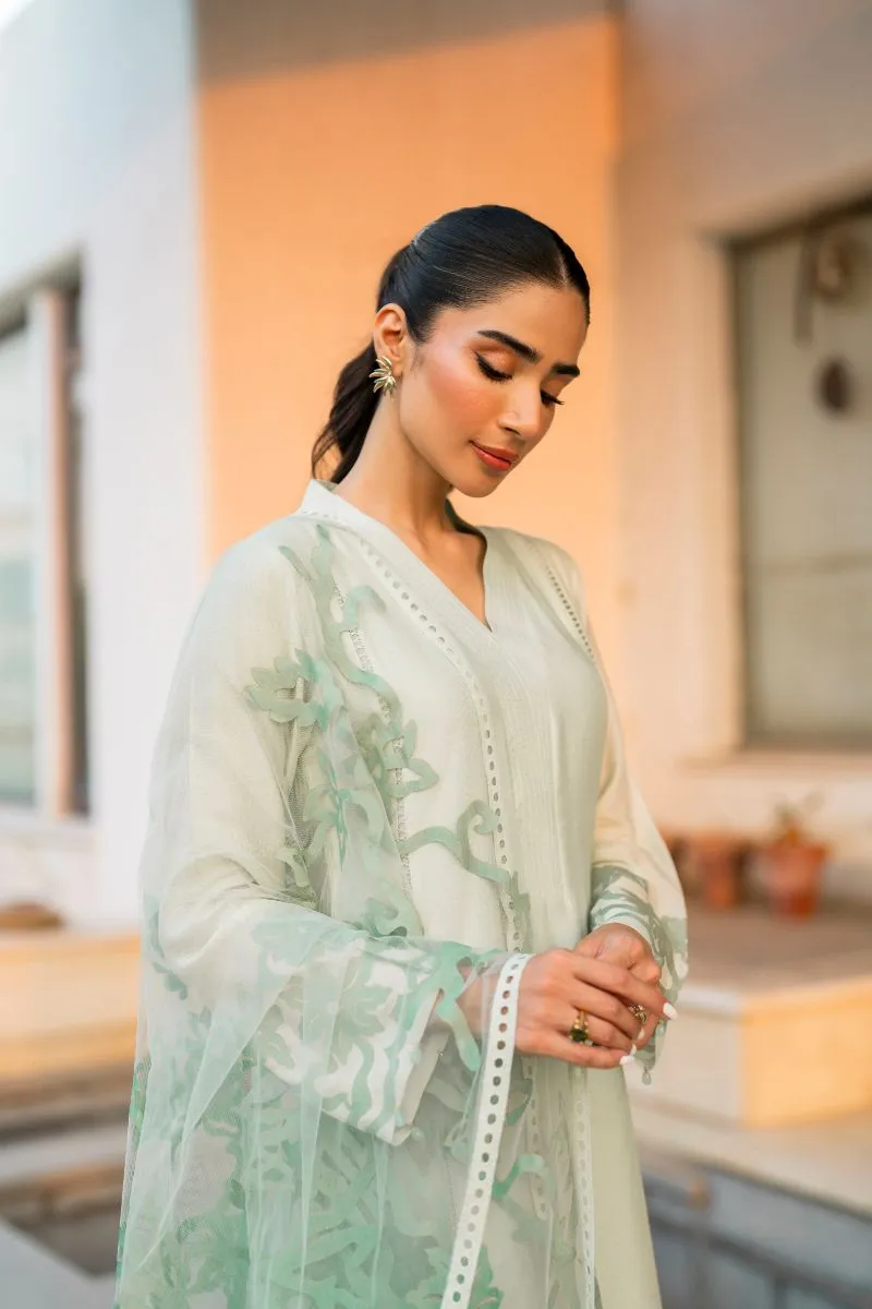 Natasha Kamal - Carmen - green applique - Cotton net lined with cotton silk - 3 Piece